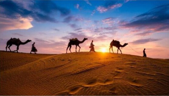 03 Days Rajasthan Trip